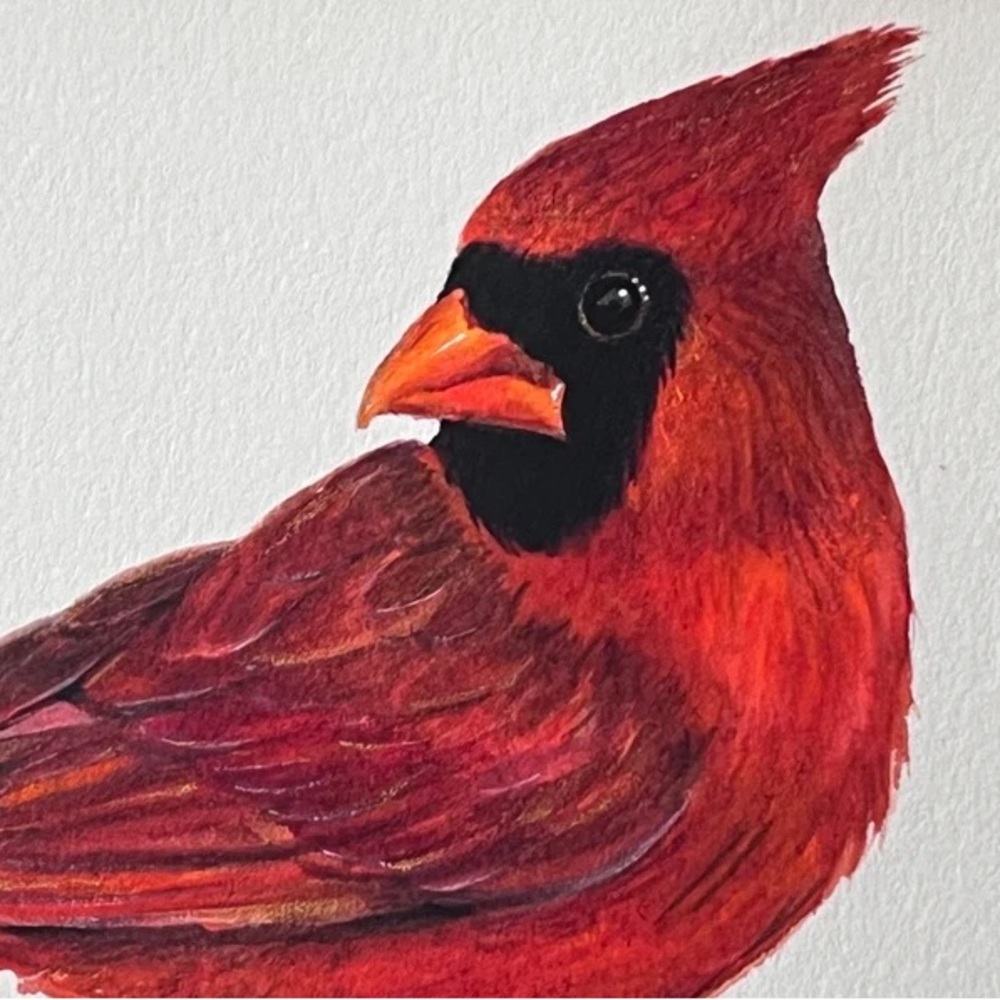 Original Watercolor Cardinal Bird Painting by me (Shannon Perrie/Perrie… - Picture 2 of 9